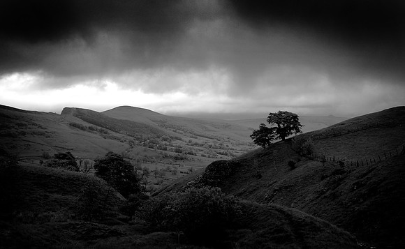 REDSCN0181